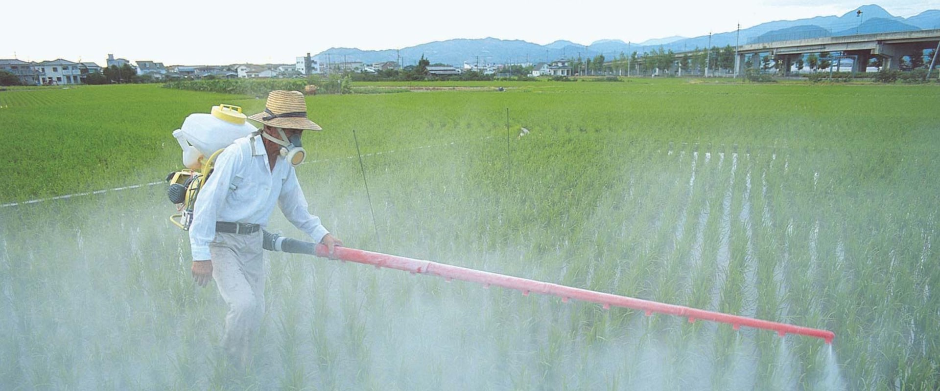 What are the advantages of chemical pesticides?