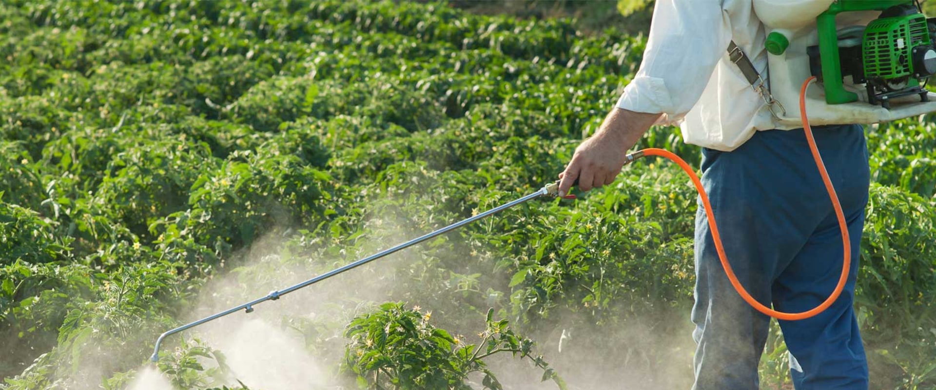 How long do pesticides stay in the air after spraying?