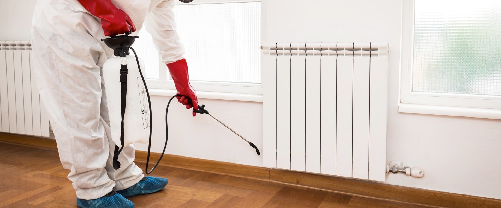 Pest Control San Diego – The Top Providers