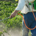 How long do pesticides stay in the air after spraying?