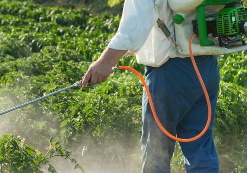 How long do pesticides stay in the air after spraying?