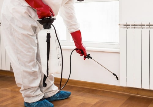 Pest Control San Diego – The Top Providers